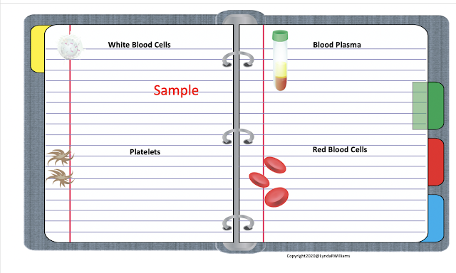 Digital Interactive Notebook Flaps Digital Interactive Notebook Flaps