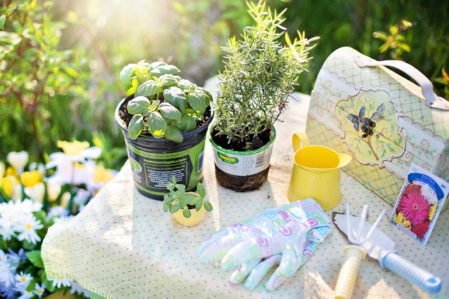 Orto sul balcone con i bambini 