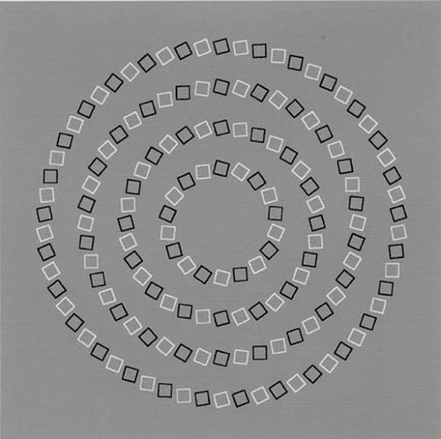 Mind-Twisting Optical Illusions: Optical Illusion Concentric Circles