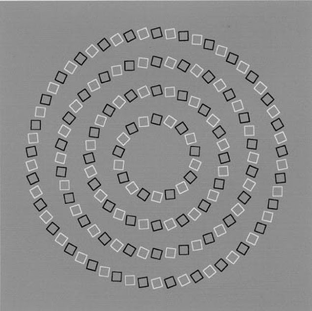 Mind-Twisting Optical Illusions: Optical Illusion Concentric Circles