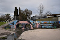 Street Art in Albury | Kade Sarte