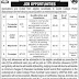 Jobs in Cadet College Pishin Balochistan 2020