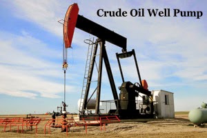 Crude Oil Well Pump