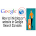 How To Get a Blog or Website into Google Search