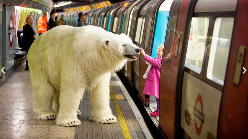 oso polar, Campañas publicitarias, Creatividad - Polar bear