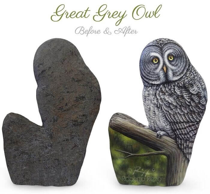 17-Great-Grey-Owl-Roberto-Rizzo-www-designstack-co