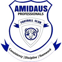 AMIDAUS PROFESSIONALS FC