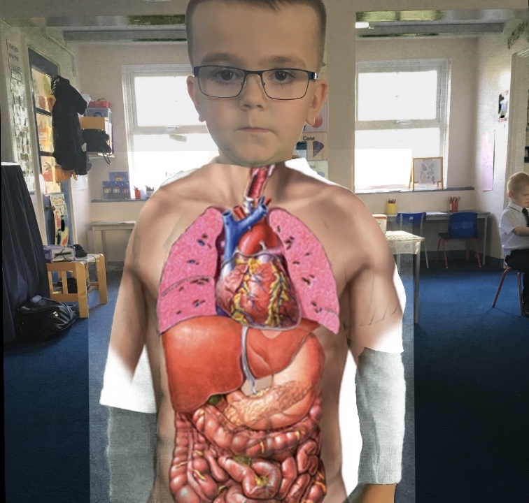 Learning About The Human Body In Year 1