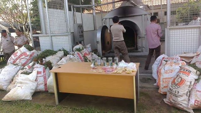 Waspada, Ada Bakteri Ganas Asal Tiongkok yang Rusak Berbagai Tanaman Indonesia Waspada, Ada Bakteri Ganas Asal Tiongkok yang Rusak Berbagai Tanaman Indonesia