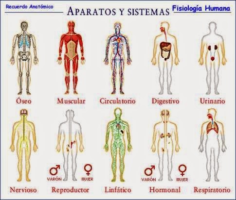 BIOLOGIA SEGUNDO AÑO: 2014