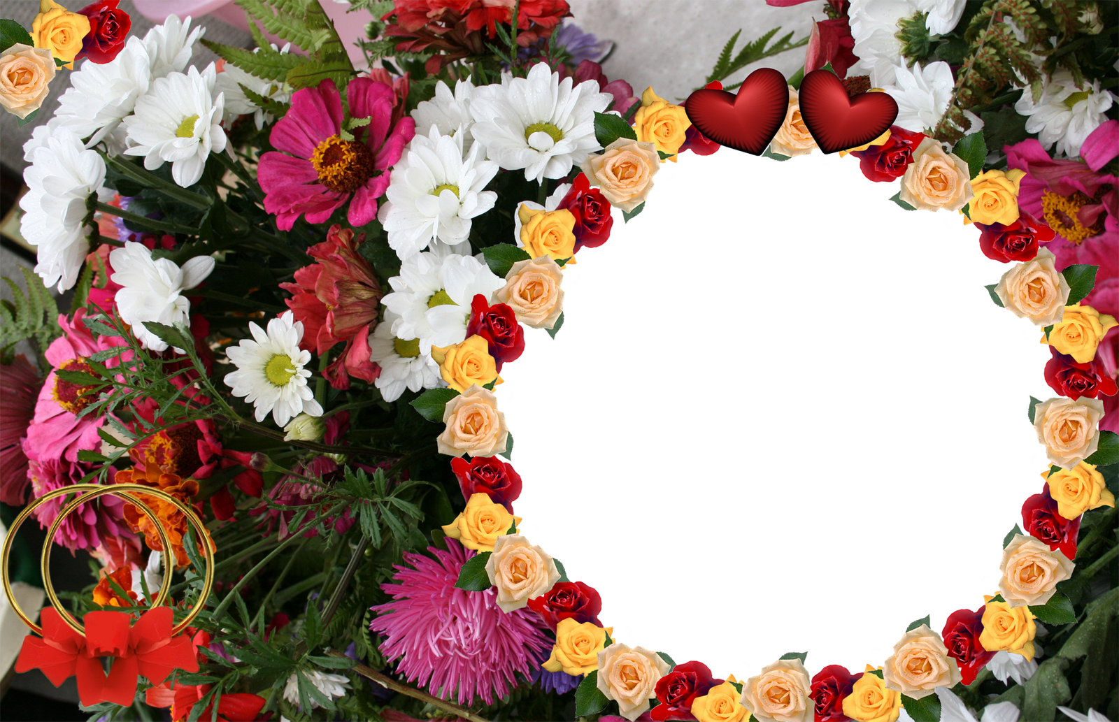 flowers for flower lovers.: Flowers photo frames designs.
