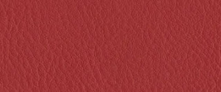 Classic-Rot Musterkarte