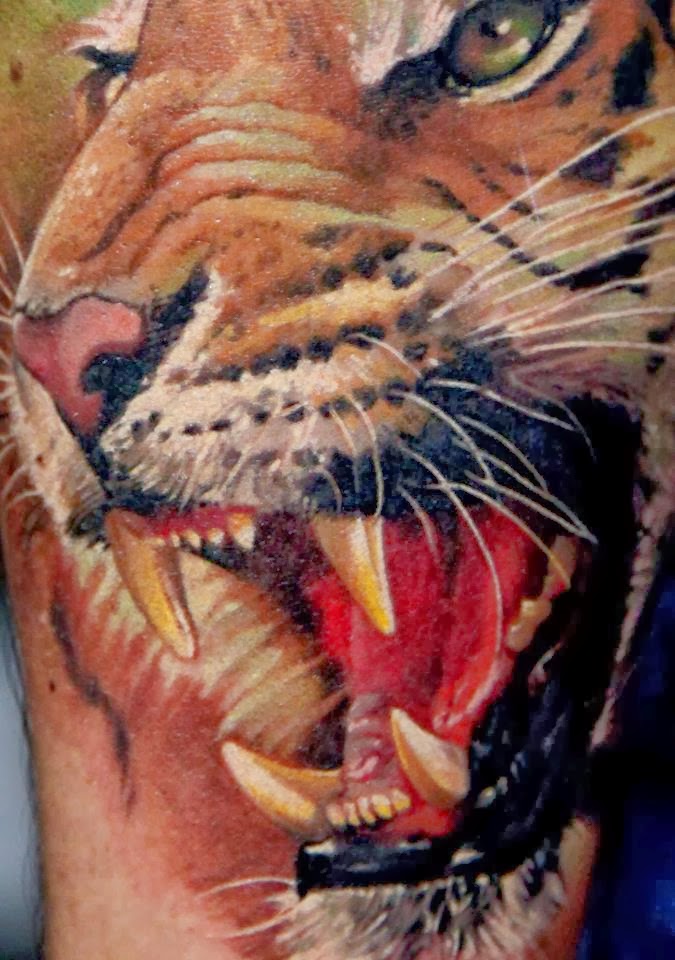 звериный оскал 9 12. оскал ягуара. пасть черной пантеры. оскал кота. оскал пантеры.