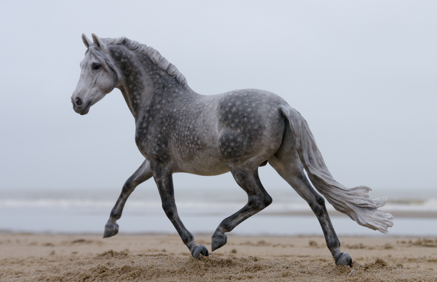 Josine Vingerling Mercurio