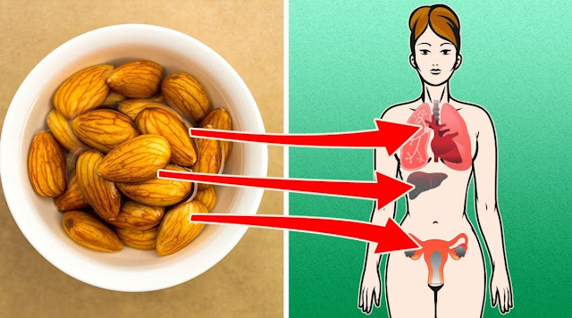 4 Things That Happen To Your Body When You Eat Almonds Every Day