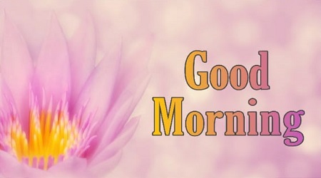 New Good Morning New Good Morning