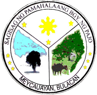 Barangay Pajo, Meycauayan City, Bulacan