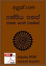 Pdf Pdf
