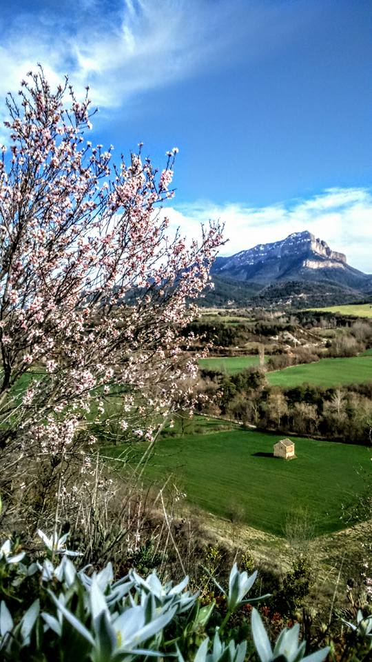 PRIMAVERA EN JACA