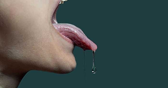 Image result for human saliva