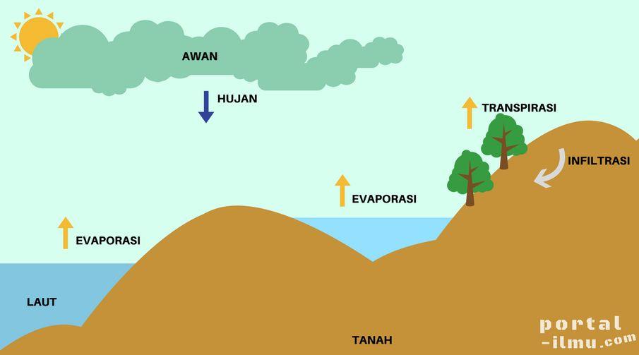 Temukan 9 kata yang digunakan dalam proses siklus hidrologi