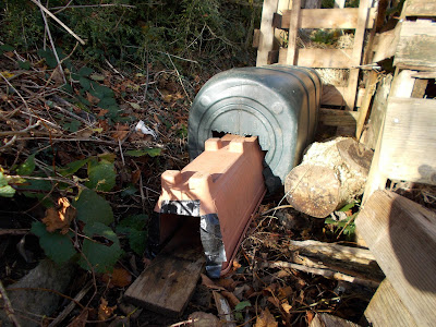 Hedgehog House Recycled Green Fingered Blog