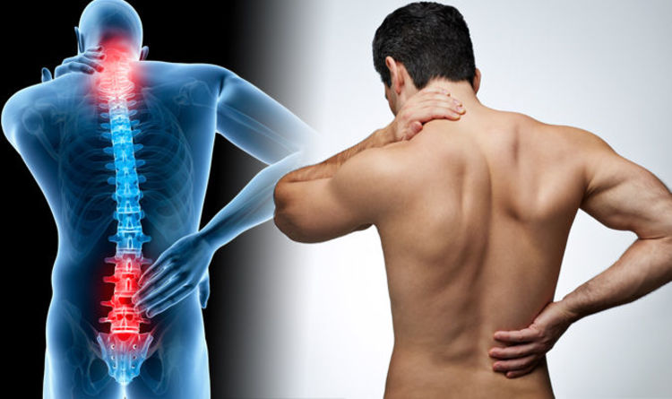 back pain relief | how to get rid of back pain