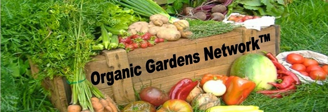 Organic Gardens Network™