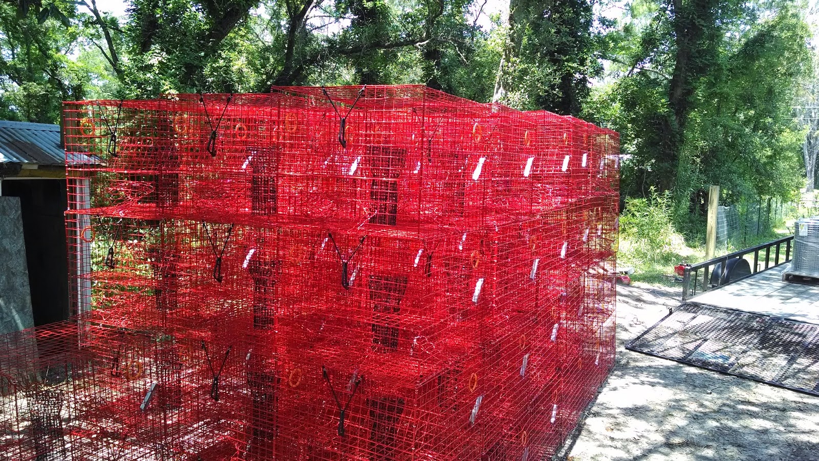 Red Dog Crab Pots Our crab pots