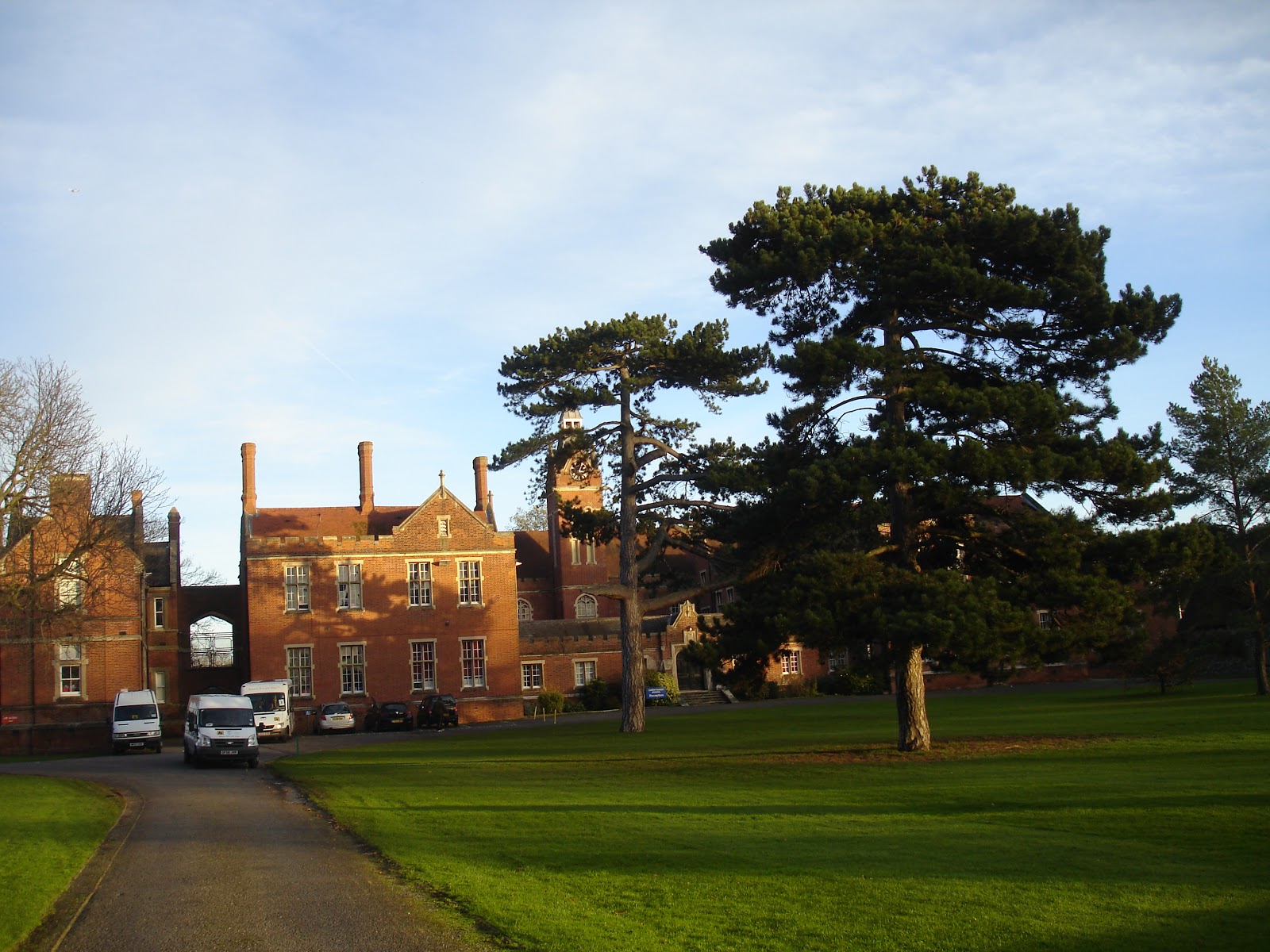 NonStop Birding Beddington Park and Trees