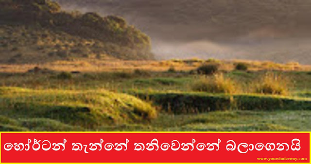 හෝර්ටන් තැන්නේ තනිවෙන්නේ බලාගෙනයි (Horton Place) - Your Choice Way