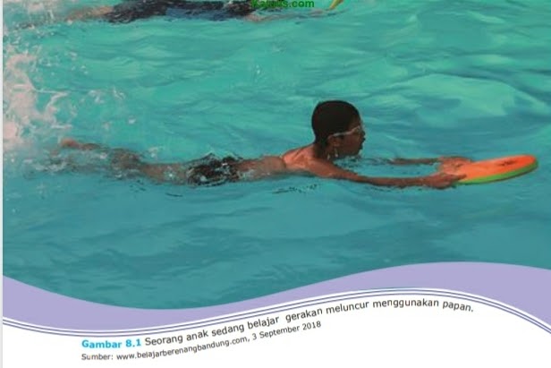 Materi Bab 8 Renang Gaya Dada