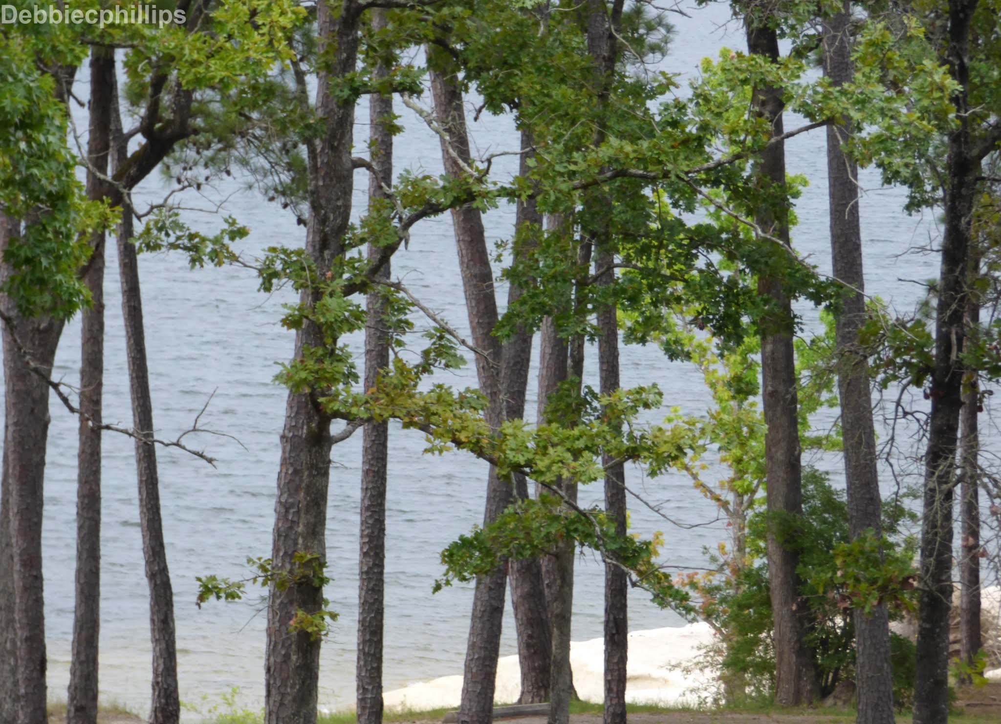 DebbieCPhillipsPhotography Twin Dikes Park Campground