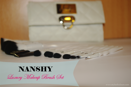 Nanshy Luxury Makeup Brush Set