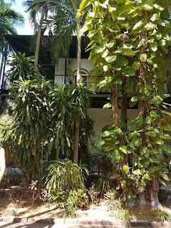 Hemingway House Gardens