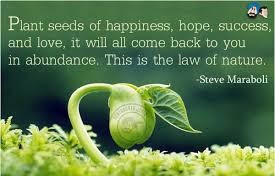 Steve Maraboli Quotes Happiness