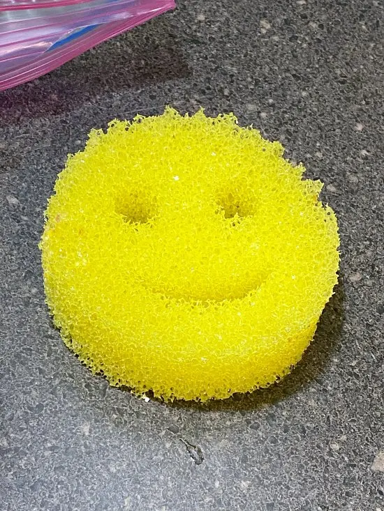 Scrub daddy sponge