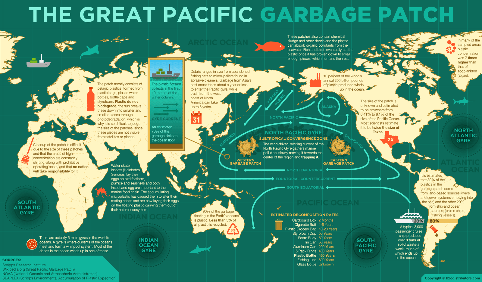 Image result for google earth great pacific garbage patch