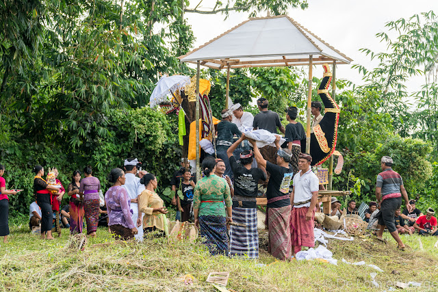 Crémation - Campagne Jatiluwih - Bali