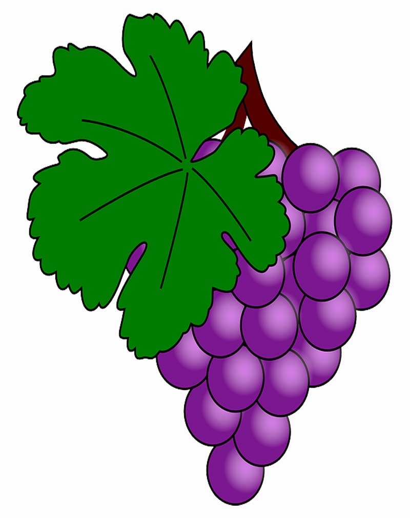 Buah Anggur Kartun Bliblinews Gambar Anggur1 Oren