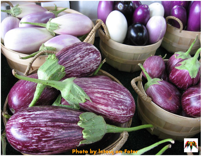 PROPIEDADES DE LAS BERENJENAS الخصائص الغذائيّة للباذنجان PROPERTIES OF