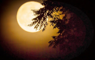 Harvest Moon Fall Equinox