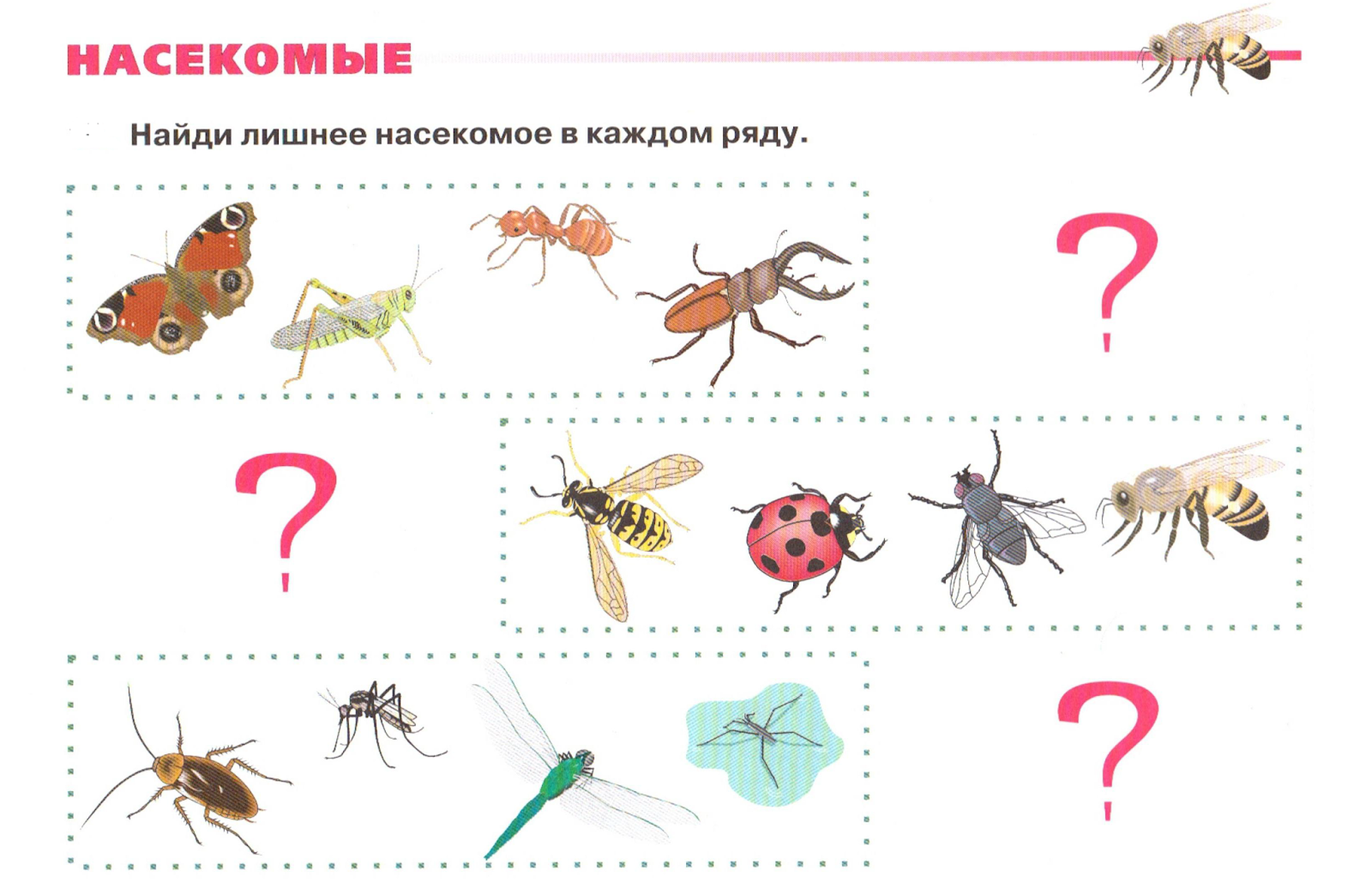 Занятие на тему насекомые в средней. Игра четвертый лишний насекомые. Насекомые логопедические задания для дошкольников. Задания по теме насекомые для дошкольников. Тема насекомые для дошкольников.