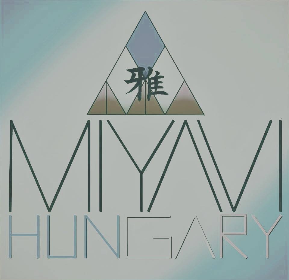 Miyavi Hungary