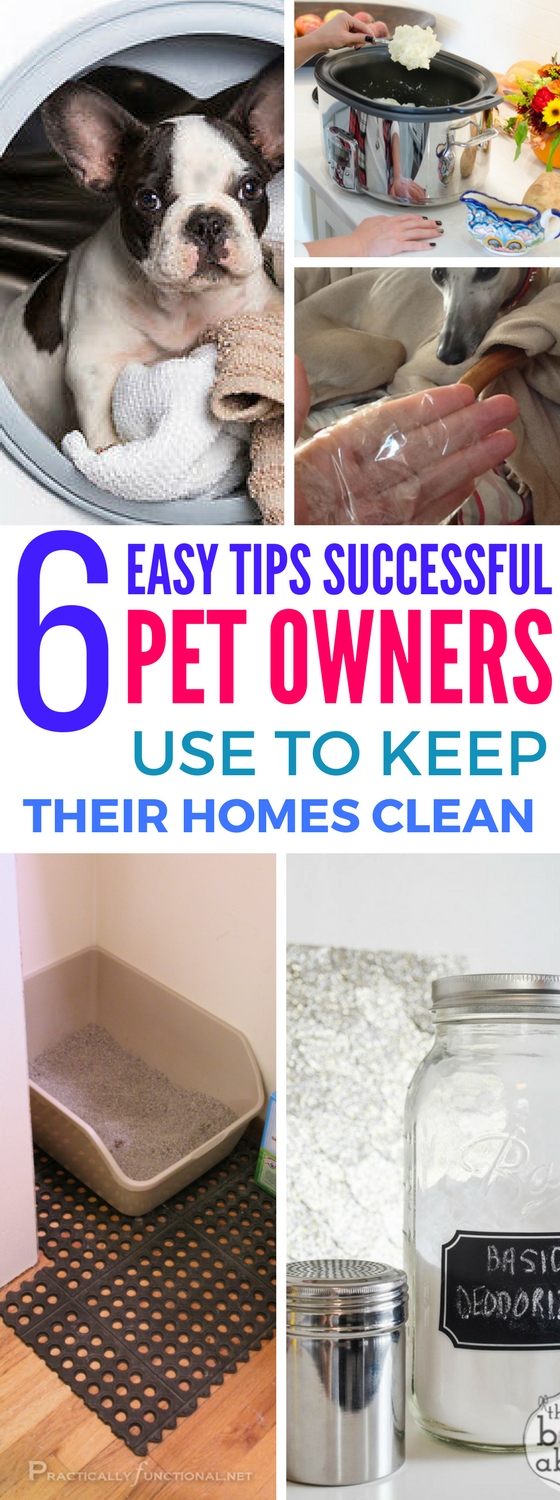 6 Clever Tricks Pet Owners Use To Keep Their Homes Clean Craftsonfire