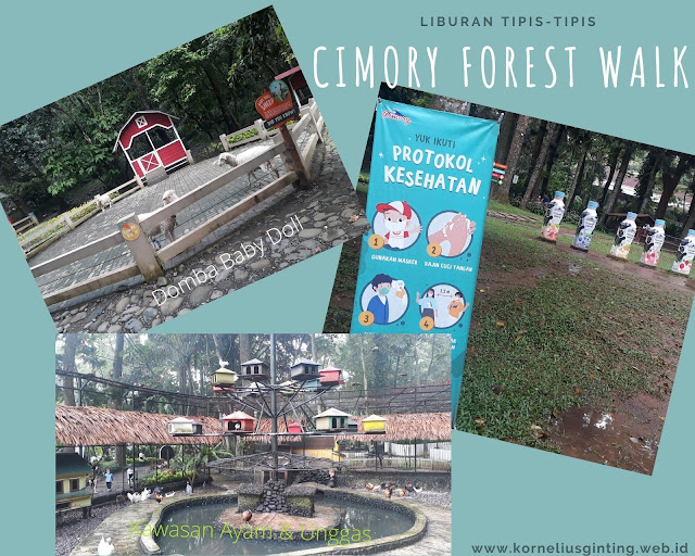 Cimory Forest Walk