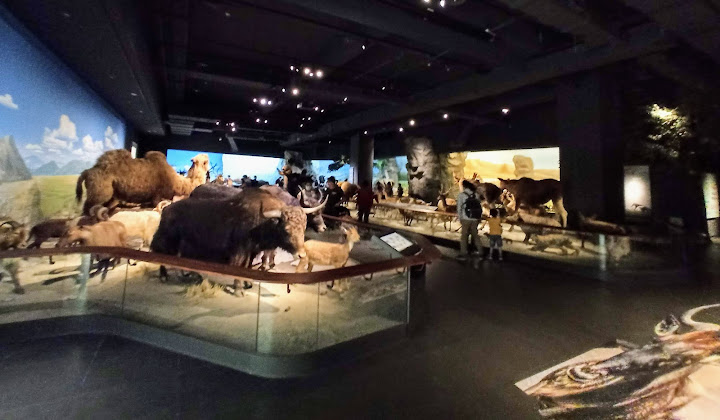 奇美博物館 ─ 動物廳、水陸鳥展示區 Jeff & Jill的窩 udn部落格