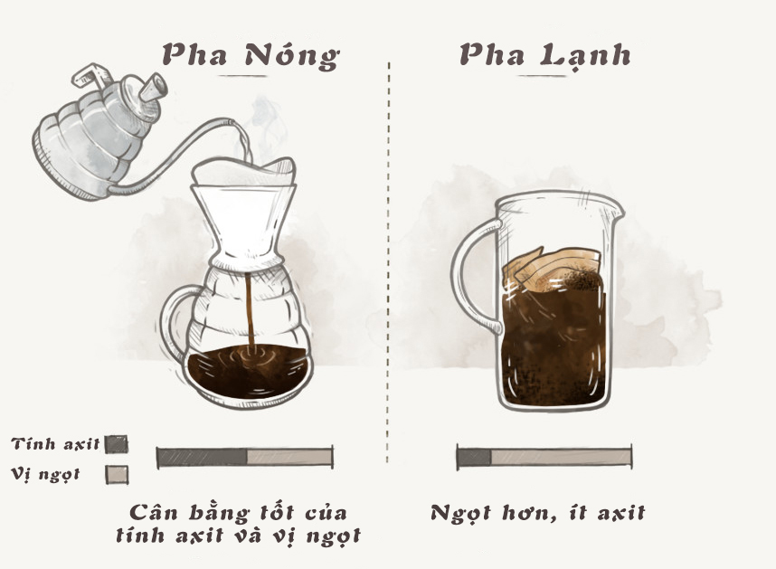 CÀ PHÊ MÁNG CHỒN: Cà phê pha lạnh cold brewed - cà phê máng chồn