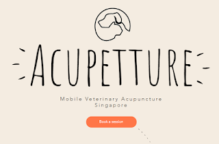 veterinary acupuncture treatment