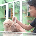 Meoow House Berawal dari Hobby Kini Miliki Klinik Kucing Sendiri